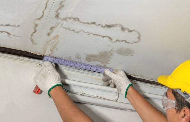 Reliable Basement Water Removal contractor in Lincoln, AL by Water Damage Irwin